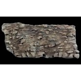 WS ROCK FACE