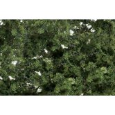 WS FINE-LEAF FOLIAGE MED GRN