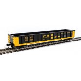 WKW GONDOLA 53ft RAILGON
